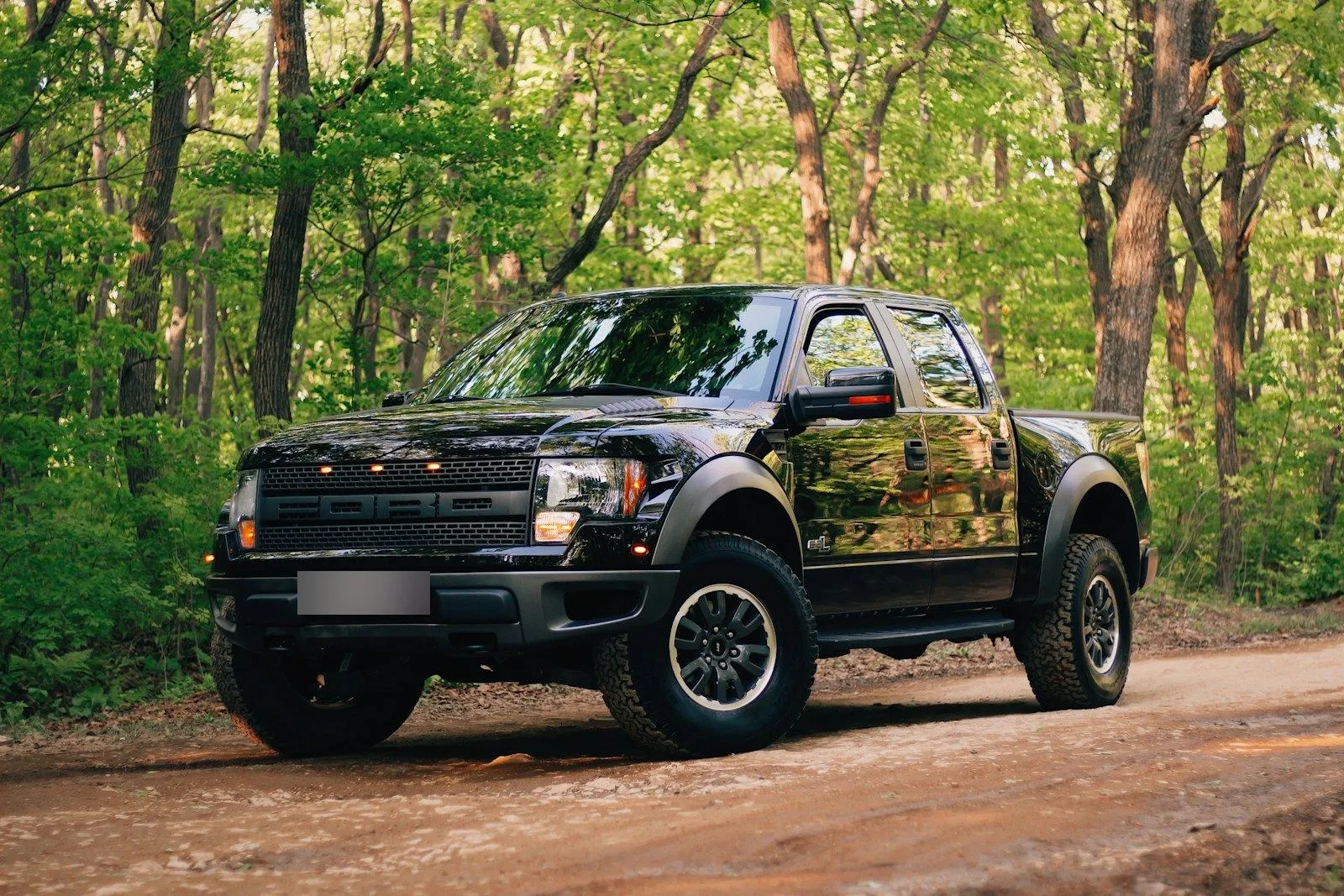 Ford F-150 SVT Raptor 2014