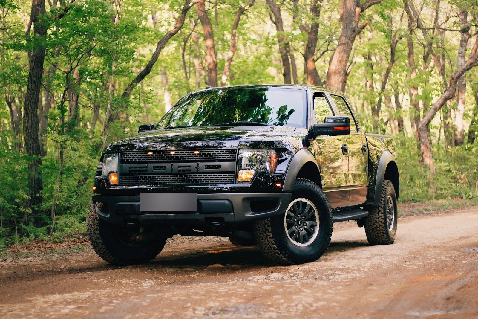 Ford F-150 SVT Raptor 2014