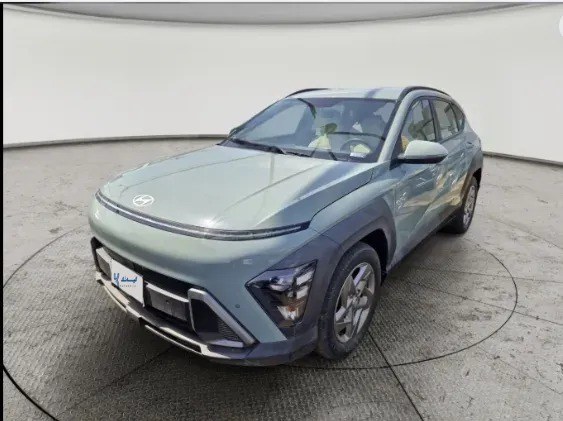 Hyundai Kona Fleet 2024